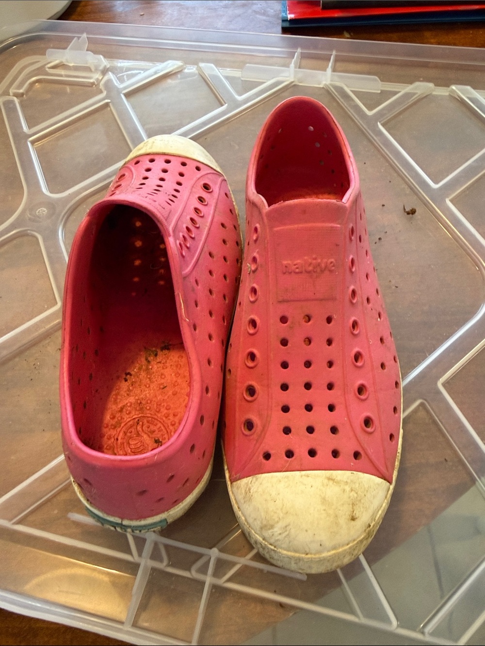 Native Kids Water Shoes in Pink with White Toe Cap
